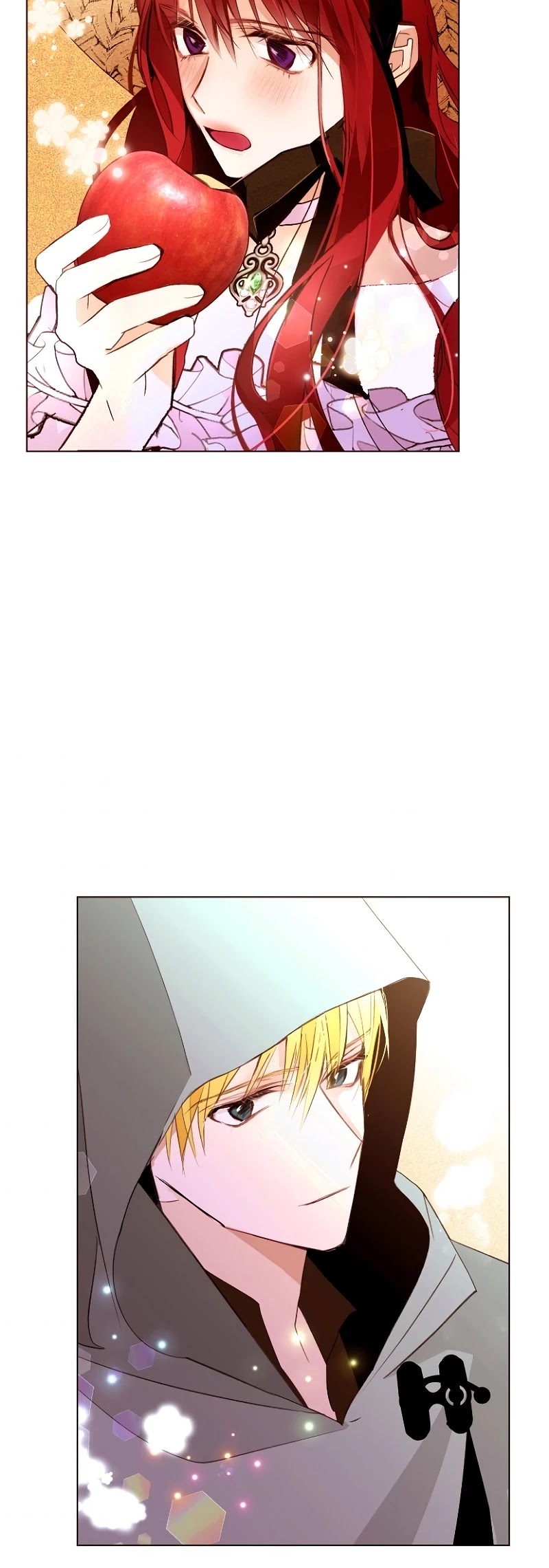The Stereotypical Life of a Reincarnated Lady Chapter 47 page 17 - Chapter 47