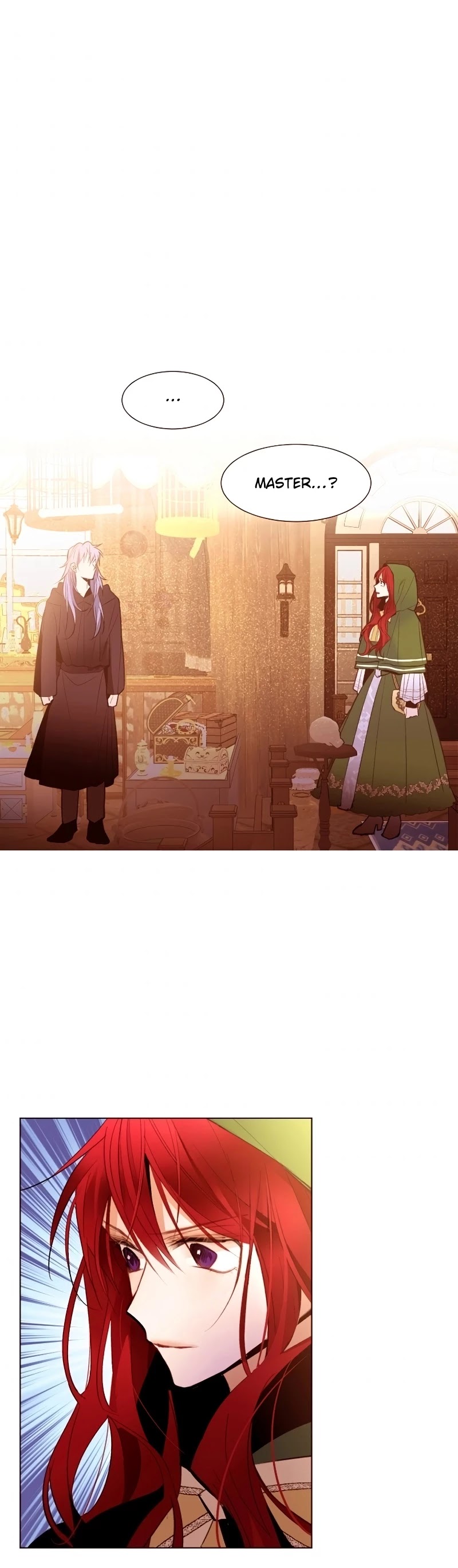 The Stereotypical Life of a Reincarnated Lady Chapter 62 page 2 - Chapter 62
