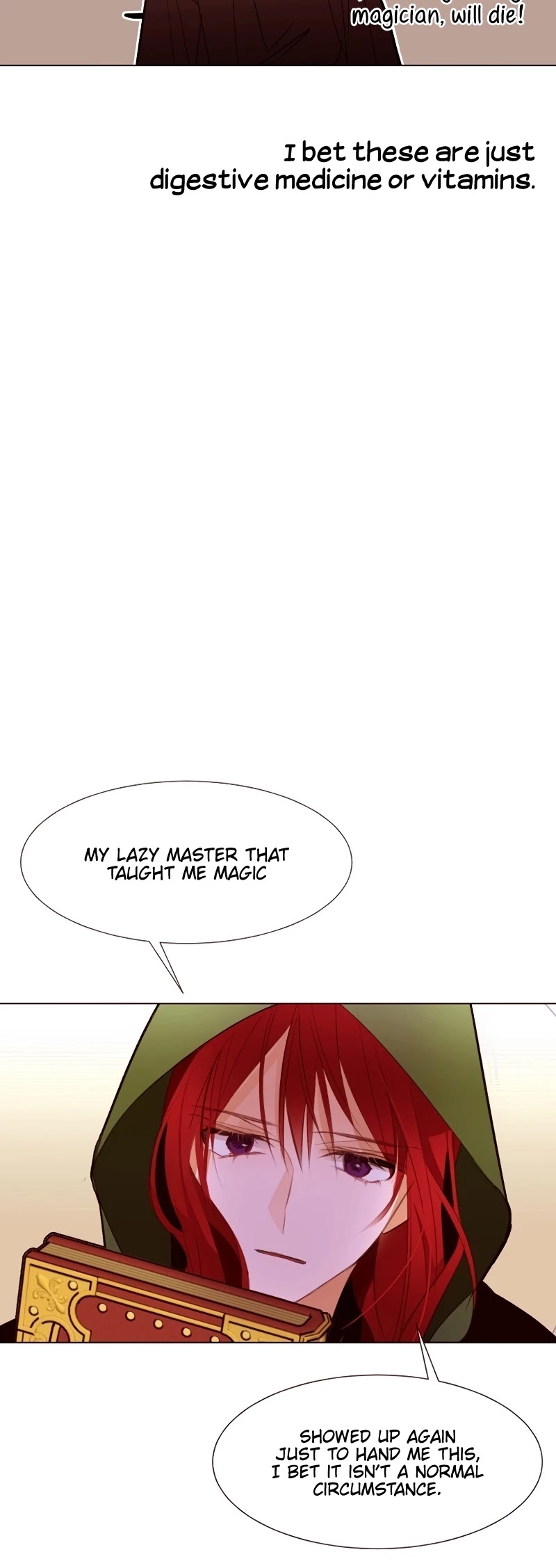 The Stereotypical Life of a Reincarnated Lady Chapter 62 page 30 - Chapter 62