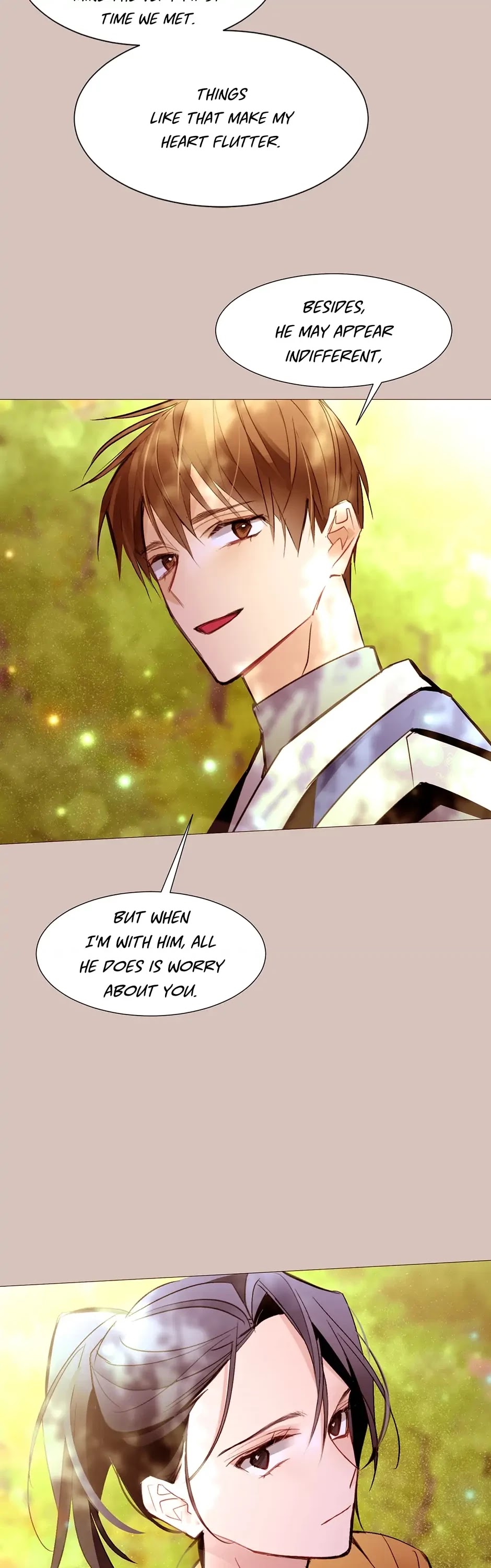 The Stereotypical Life of a Reincarnated Lady Chapter 90 page 25 - Chapter 90: My Fault