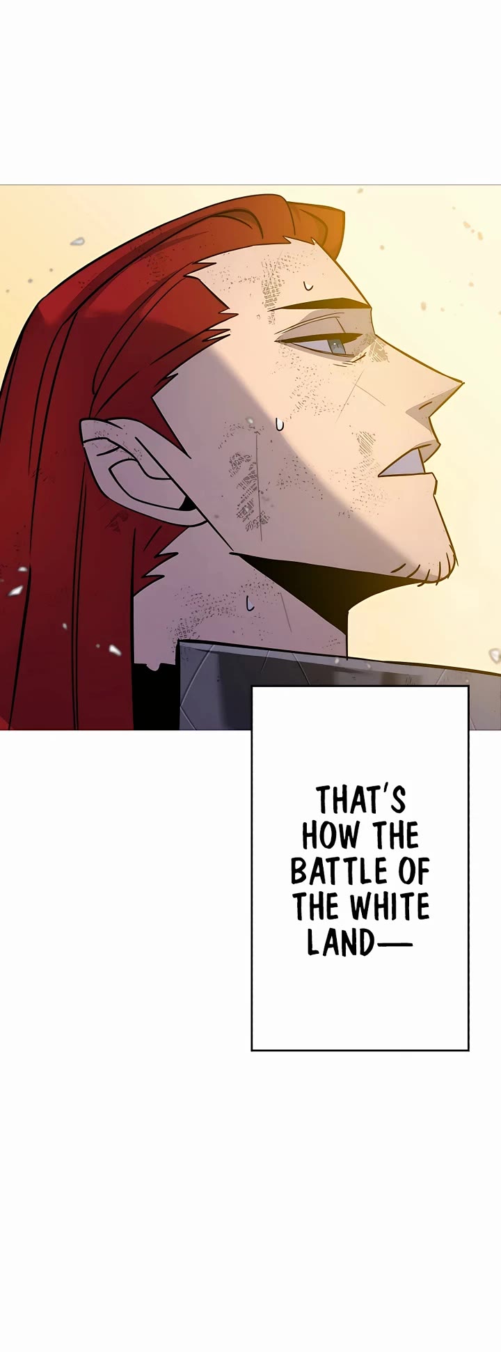 The Story of a Low-Rank Soldier Becoming a Monarch Chapter 137 page 12 - Chapter 137