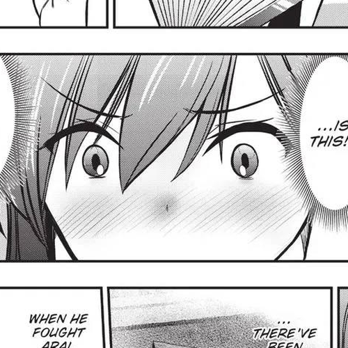 The Story of Being Taught How to Fight by a Delinquent Gyaru Chapter 15 cover