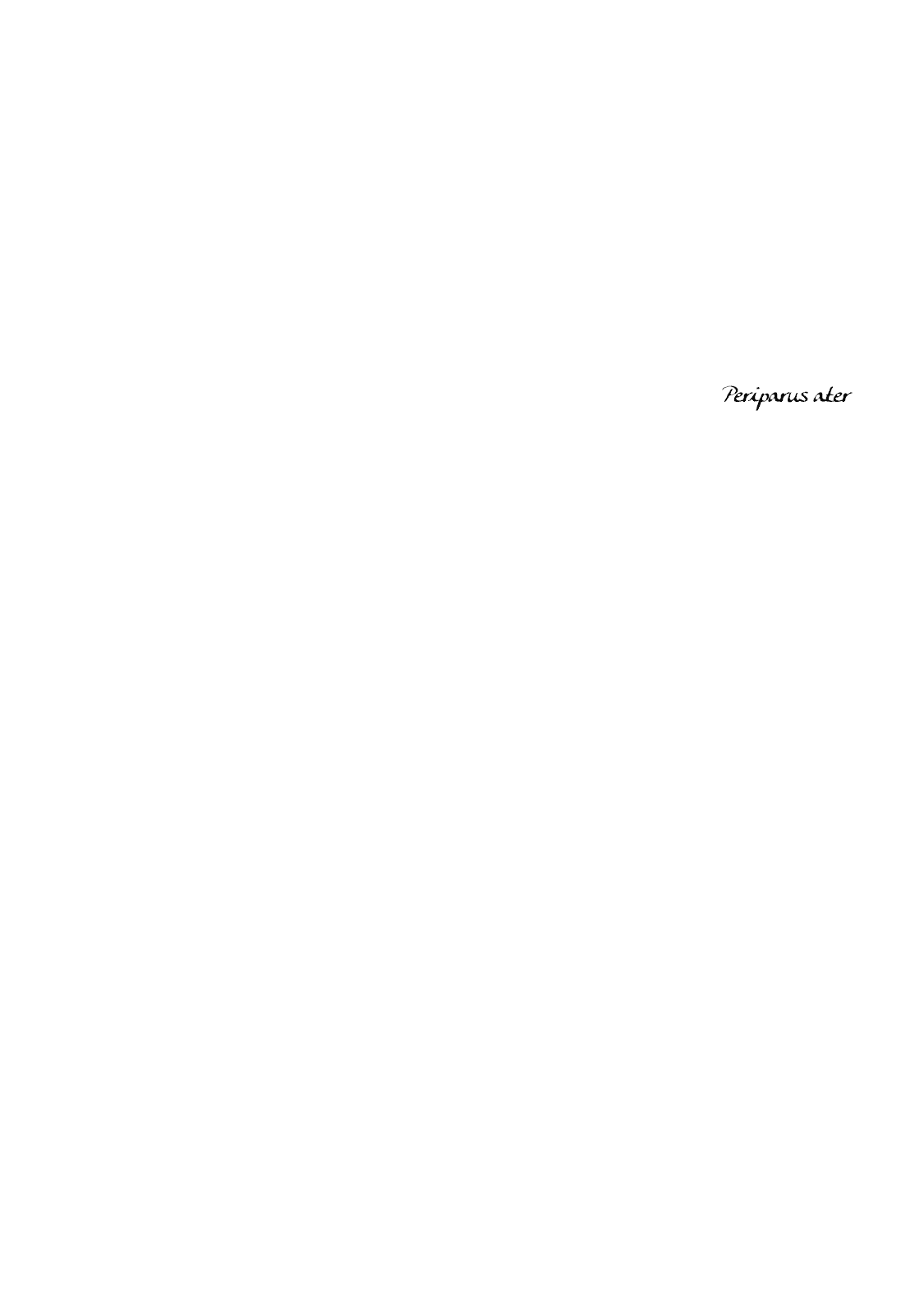 The Story of Letters Chapter 3 page 3 - Chapter 3: Periparus ater