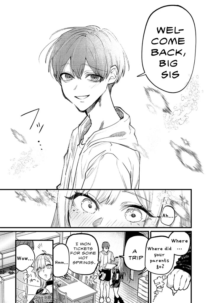 The Story of Making My Bitchy Gal Sister Understand Chapter 13 page 3 - Chapter 13: Family 2