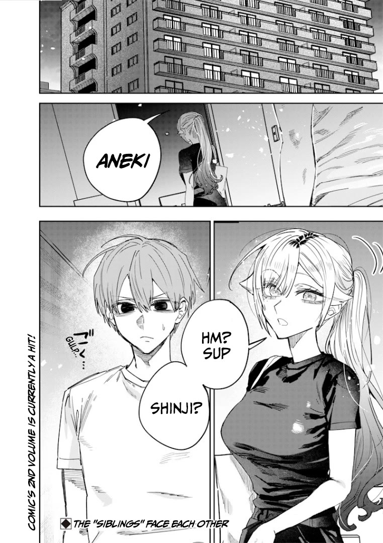 The Story of Making My Bitchy Gal Sister Understand Chapter 52 page 13 - Chapter 52: 「Worries」