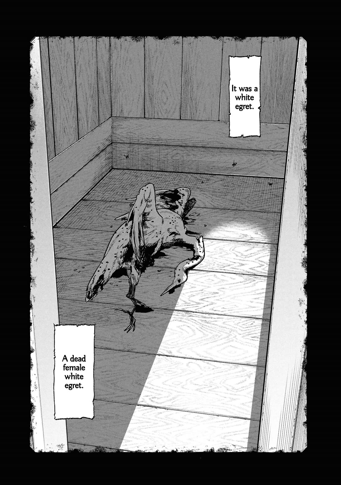 The Strange House Chapter 29 page 20 - Chapter 29