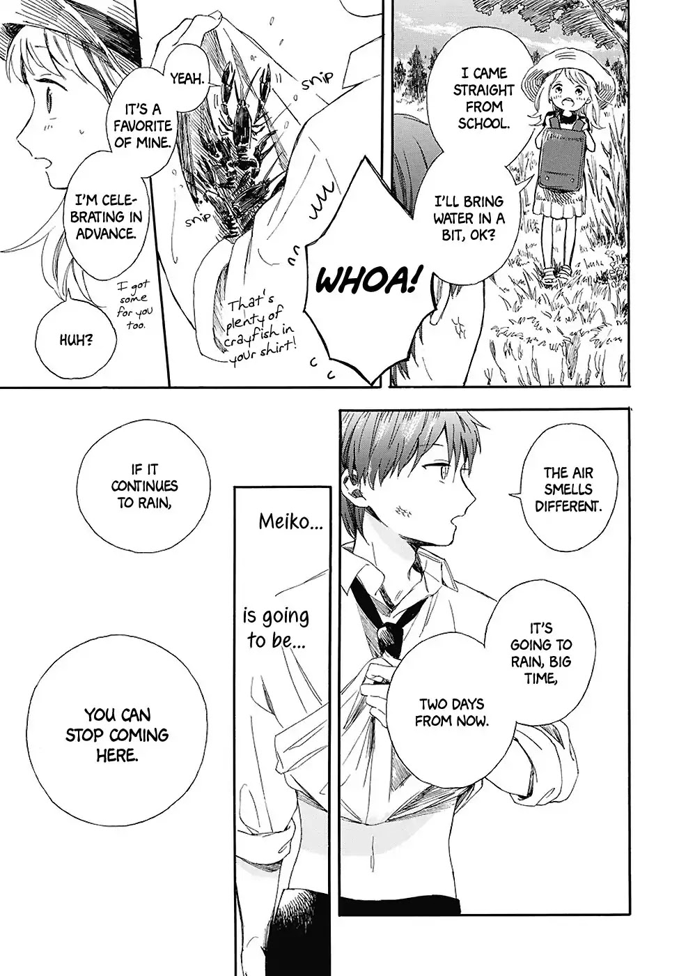 The Straw Hat and the Carp Chapter 0 page 17 - Chapter 0: Oneshot