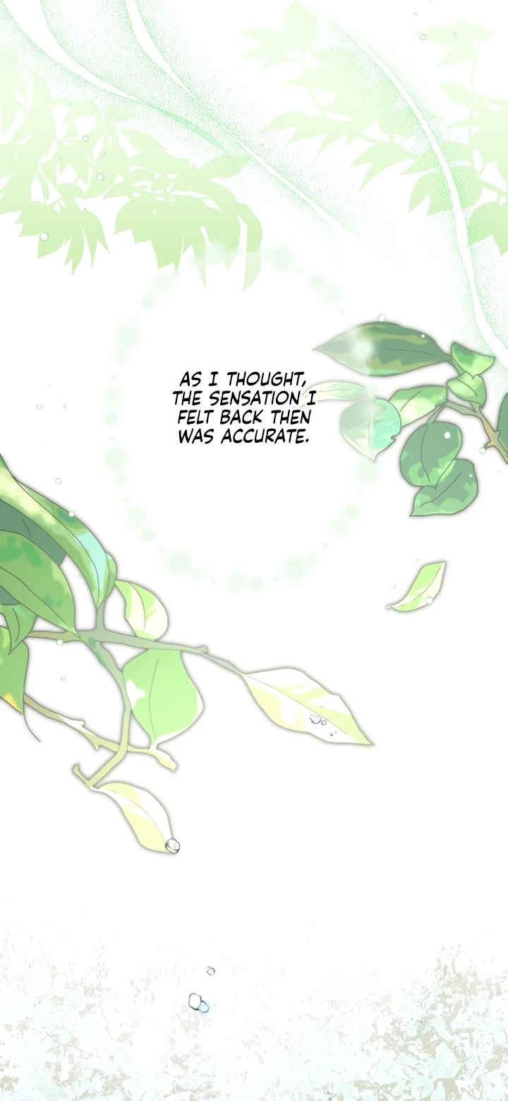 The Strongest Characters in the World Are Obsessed With Me Chapter 30 page 5 - Chapter 30