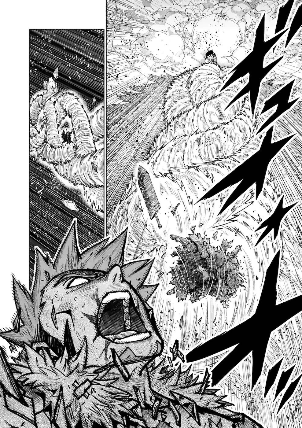 The Strongest Female Masters, Who Are Trying to Raise Me Up, Are in Shambles Over Their Training Policy Chapter 21 page 14 - Chapter 21: Magic Swordsman