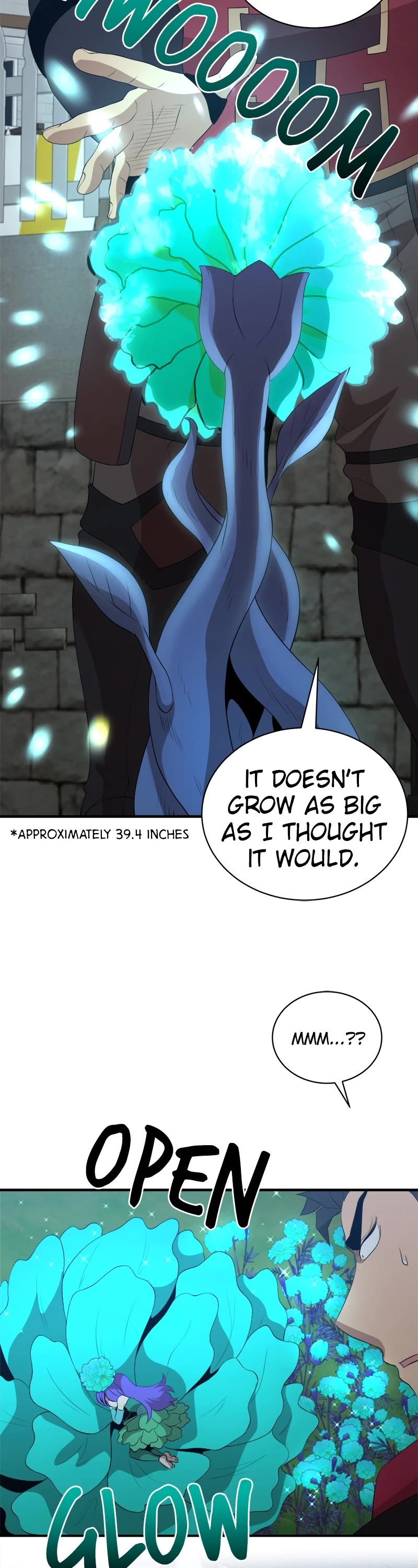 The Strongest Florist Chapter 180 page 27 - Chapter 180: Episode 180