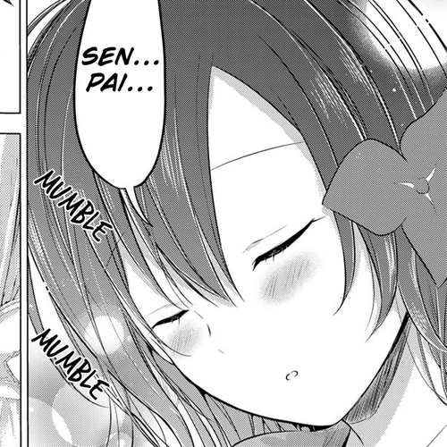 The Student Council President Solves Everything on the Bed Chapter 10.5: The Happening on One Certain Night cover