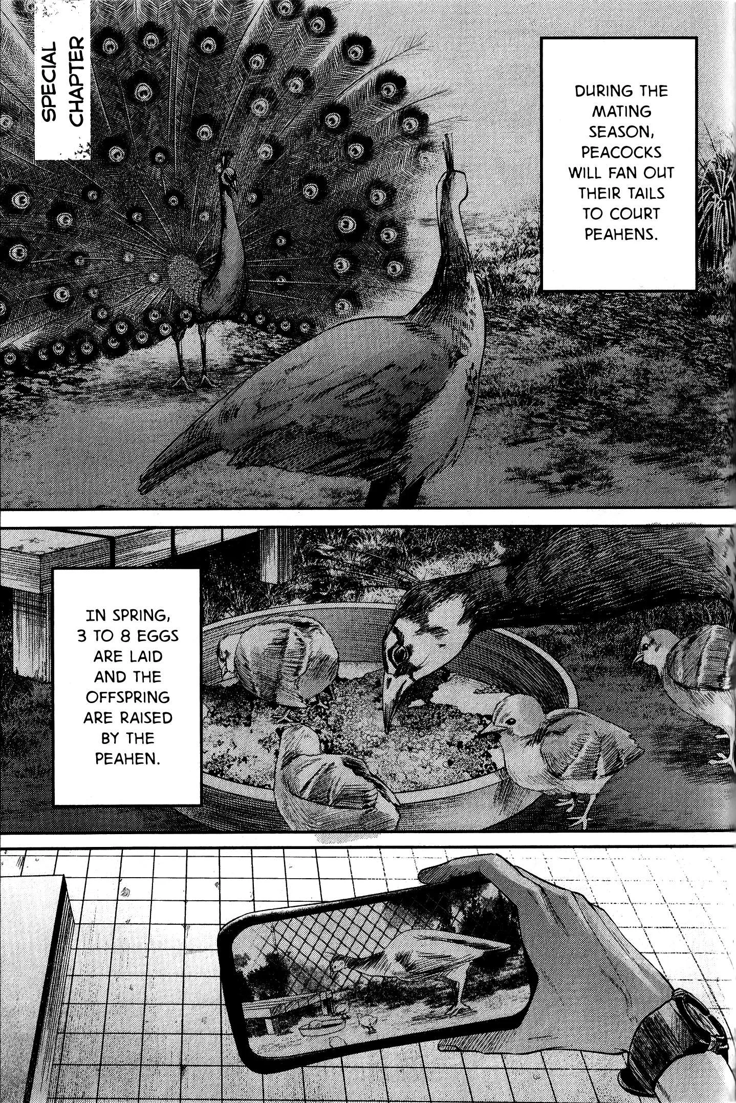 The Summer Hikaru Died Chapter 11.7 page 1 - Volume 2: Special 2
