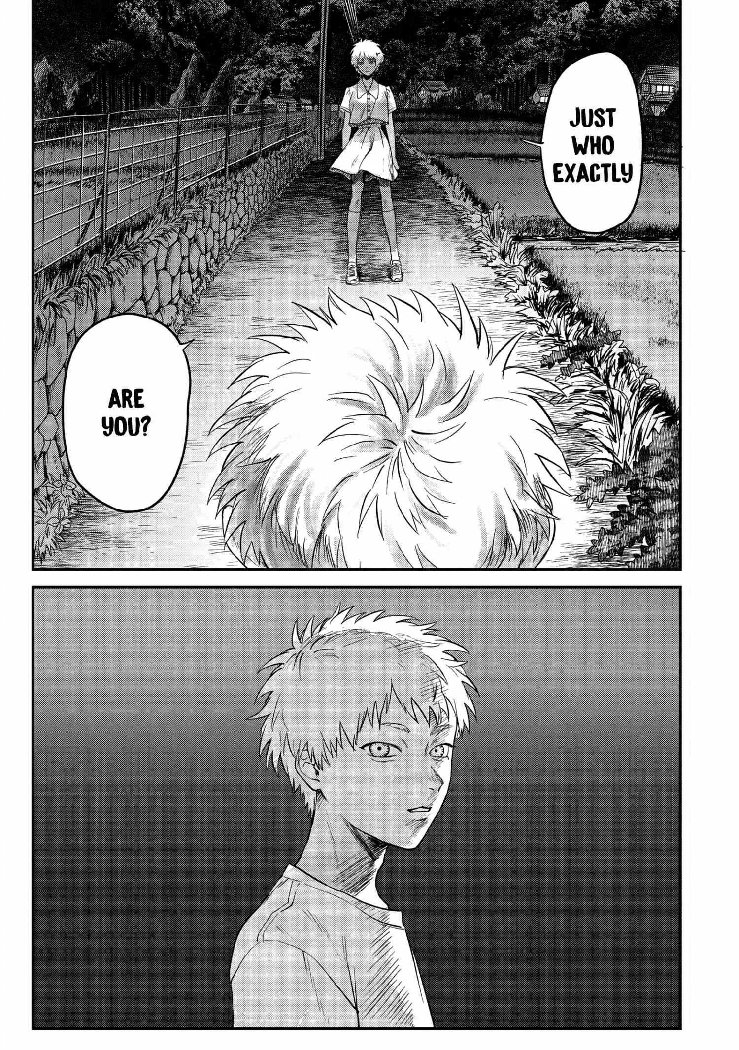 The Summer Hikaru Died Chapter 15 page 13 - Chapter 15