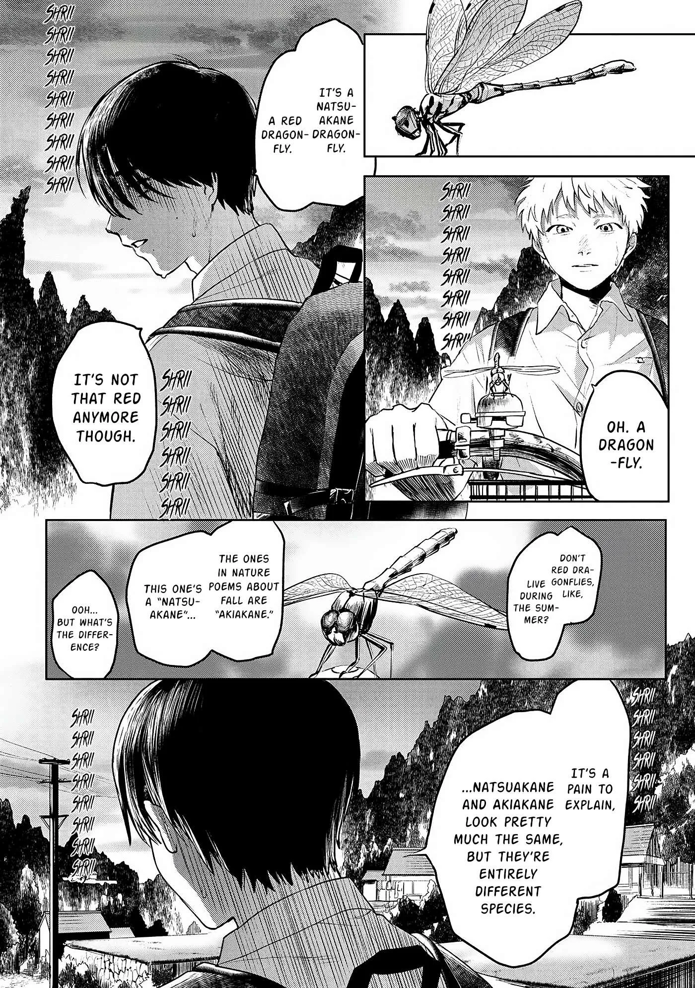 The Summer Hikaru Died Chapter 2 page 11 - Chapter 2