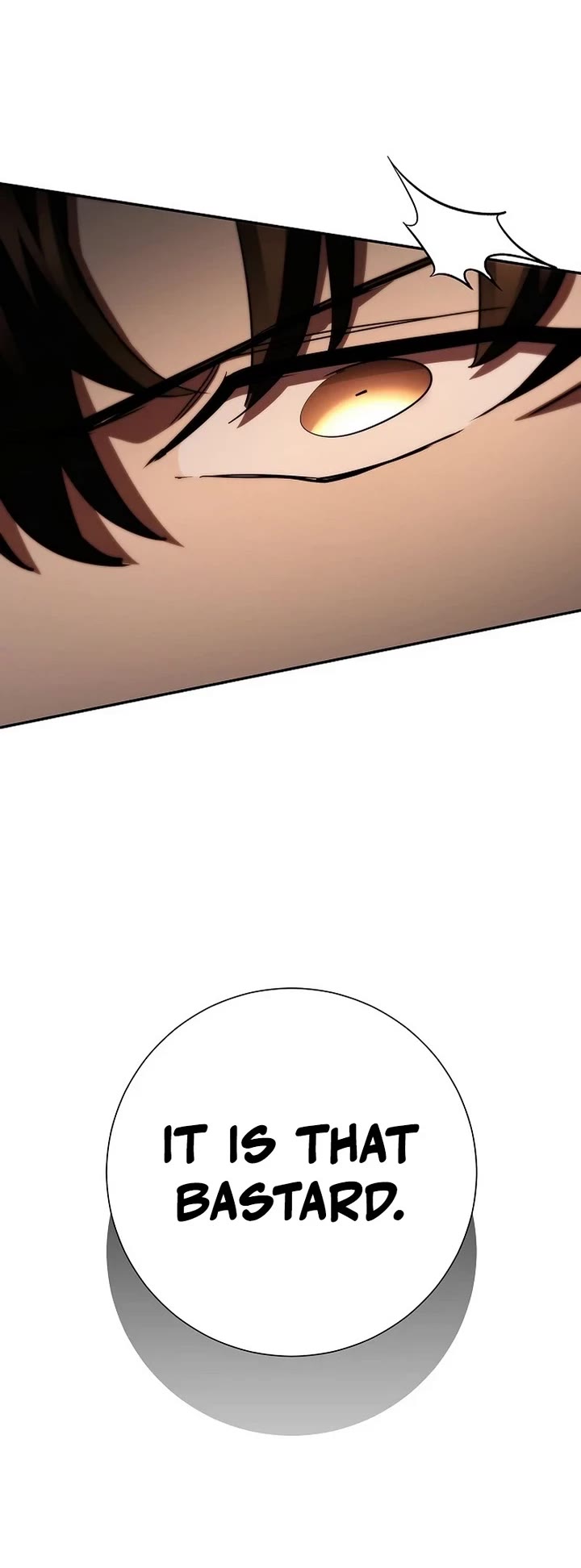 The Sword God From the Destroyed World Chapter 51 page 19 - Chapter 51 [END]