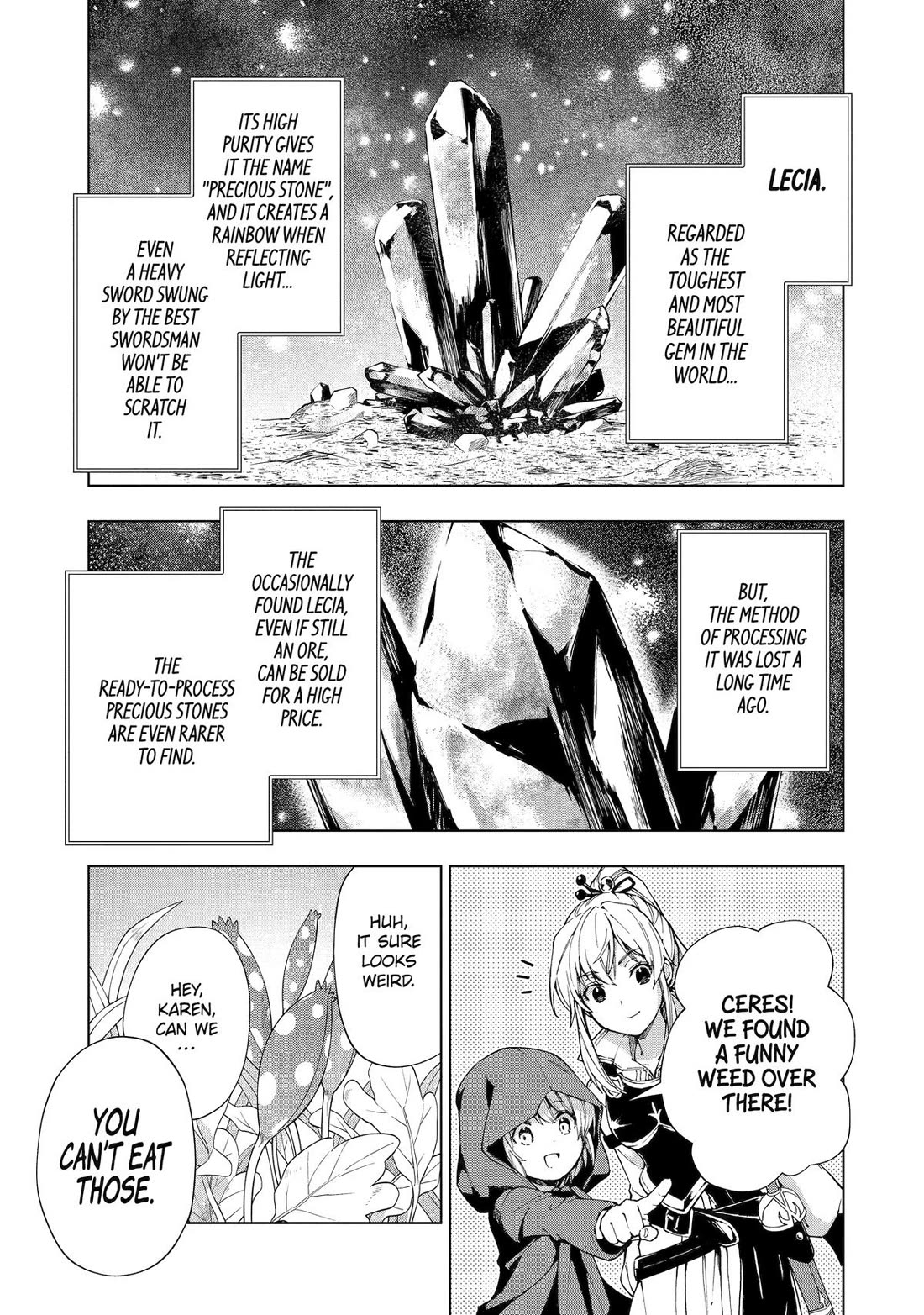 The Swordsman Called the Countless Swords Sorcerer Chapter 49 page 13 - Chapter 49