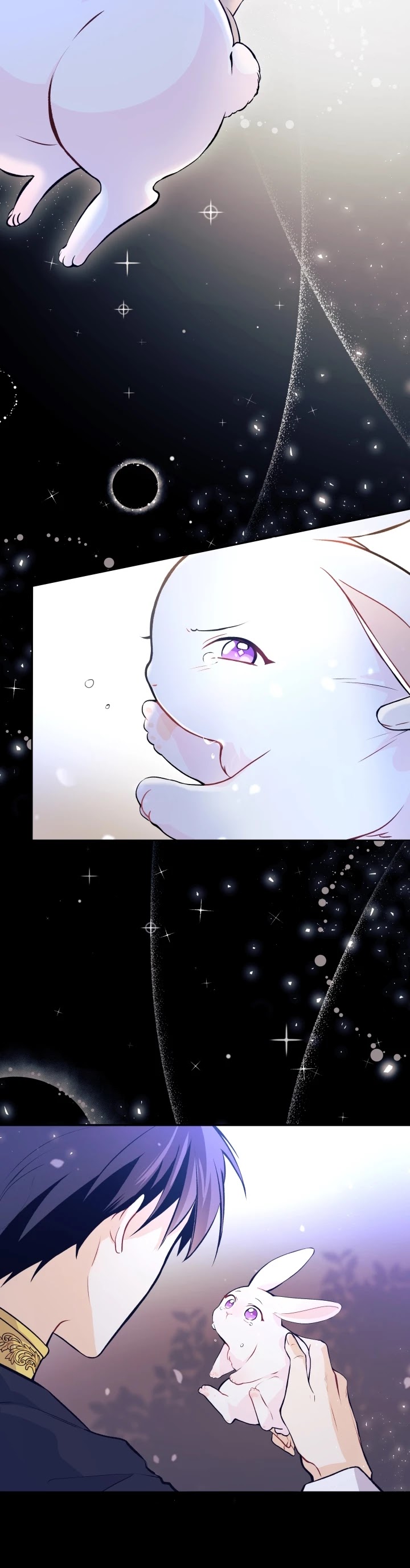 The Symbiotic Relationship Between a Rabbit and a Black Panther Chapter 1 page 14 - Chapter 1
