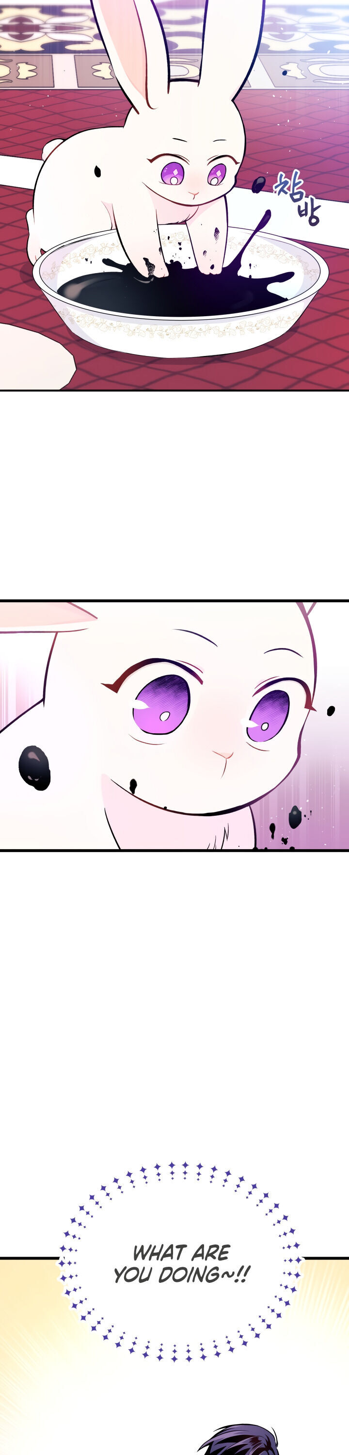 The Symbiotic Relationship Between a Rabbit and a Black Panther Chapter 10 page 17 - Chapter 10