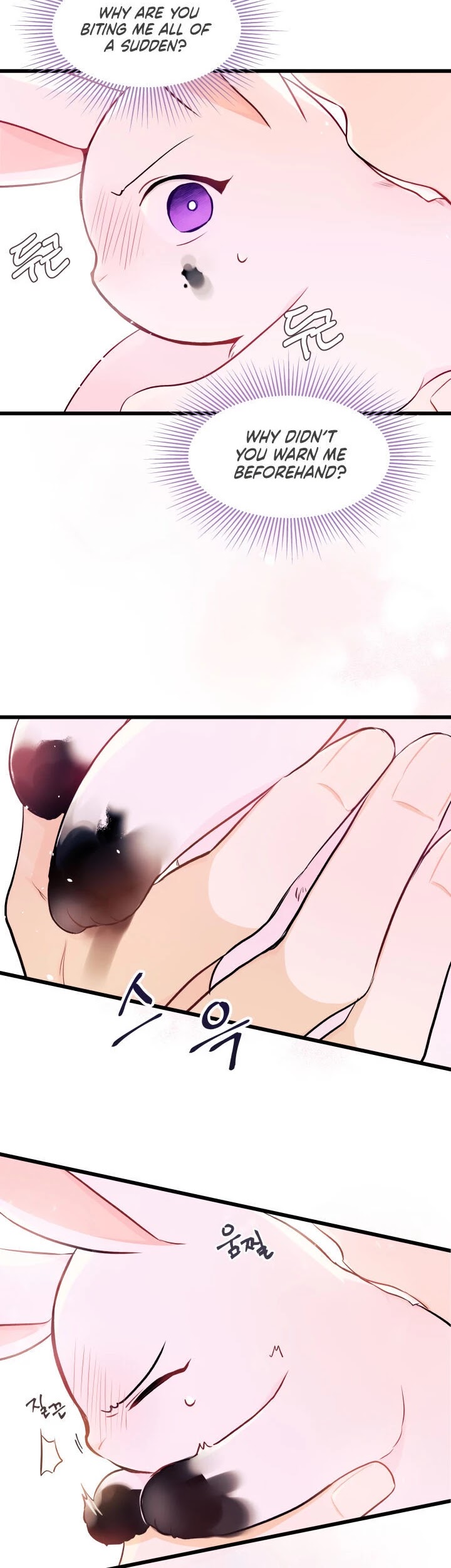 The Symbiotic Relationship Between a Rabbit and a Black Panther Chapter 10 page 28 - Chapter 10