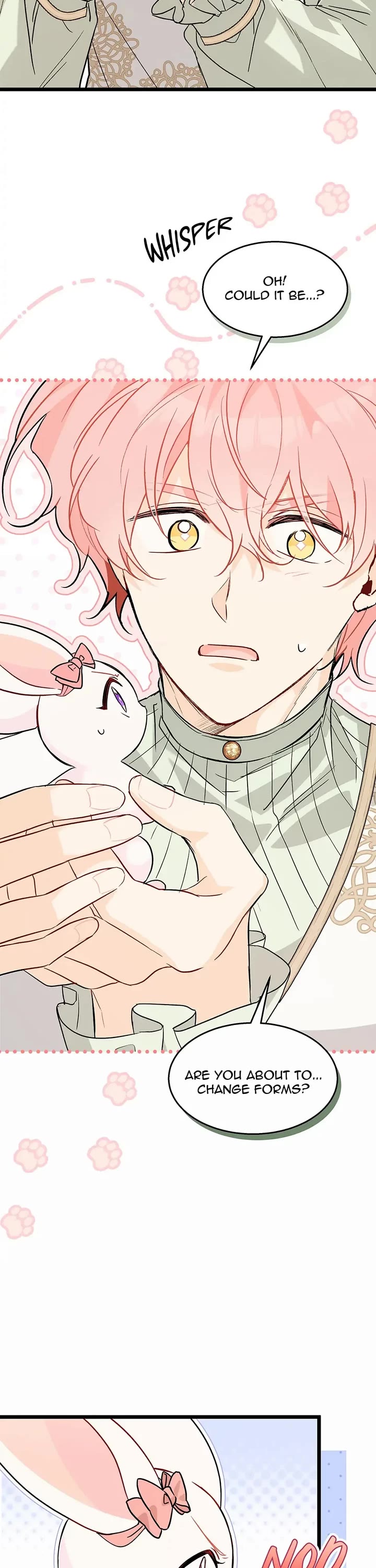 The Symbiotic Relationship Between a Rabbit and a Black Panther Chapter 101 page 12 - Chapter 101: Why can't you speak rabbit?! GAH!