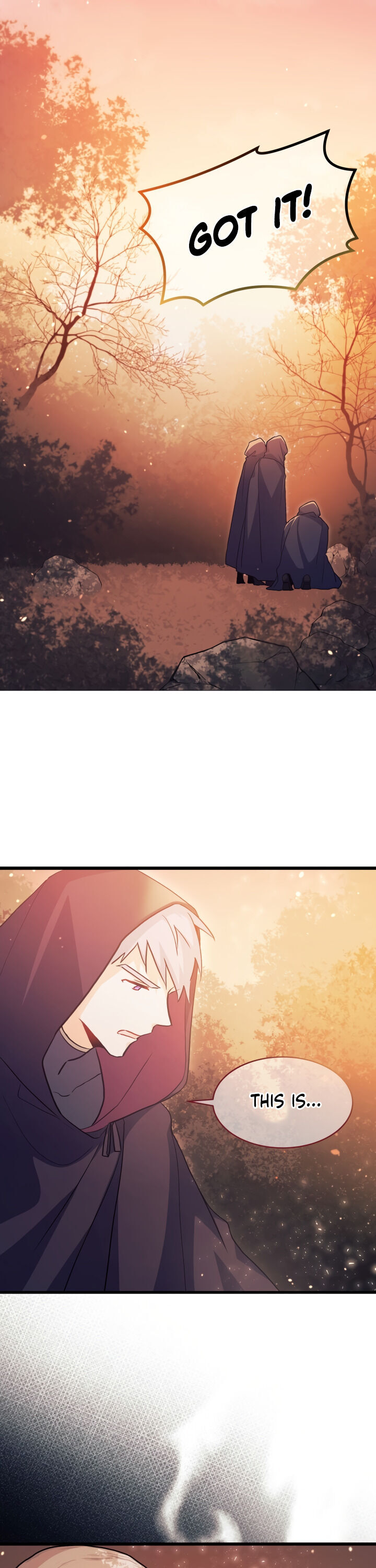 The Symbiotic Relationship Between a Rabbit and a Black Panther Chapter 11 page 33 - Chapter 11