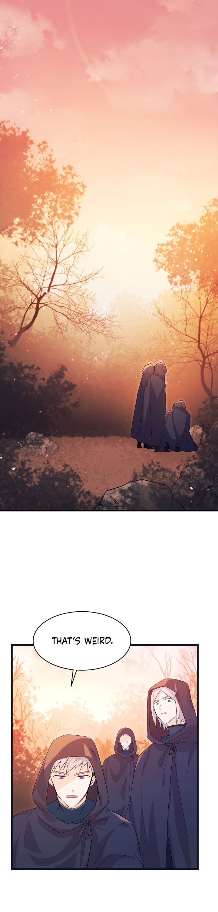 The Symbiotic Relationship Between a Rabbit and a Black Panther Chapter 12 page 1 - Chapter 12