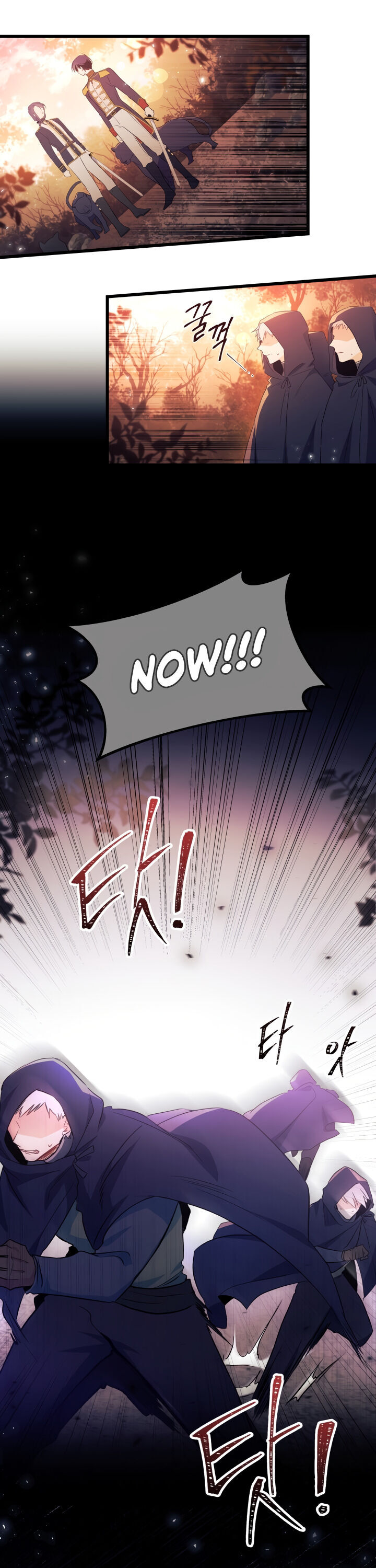 The Symbiotic Relationship Between a Rabbit and a Black Panther Chapter 12 page 17 - Chapter 12