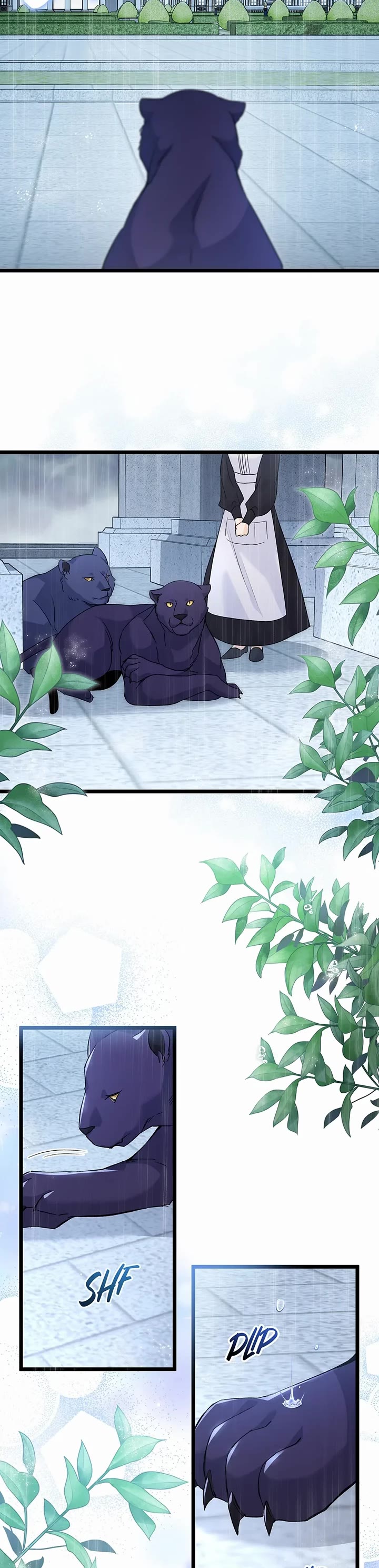 The Symbiotic Relationship Between a Rabbit and a Black Panther Chapter 121 page 14 - Chapter 121: Goodbye, Vivi...