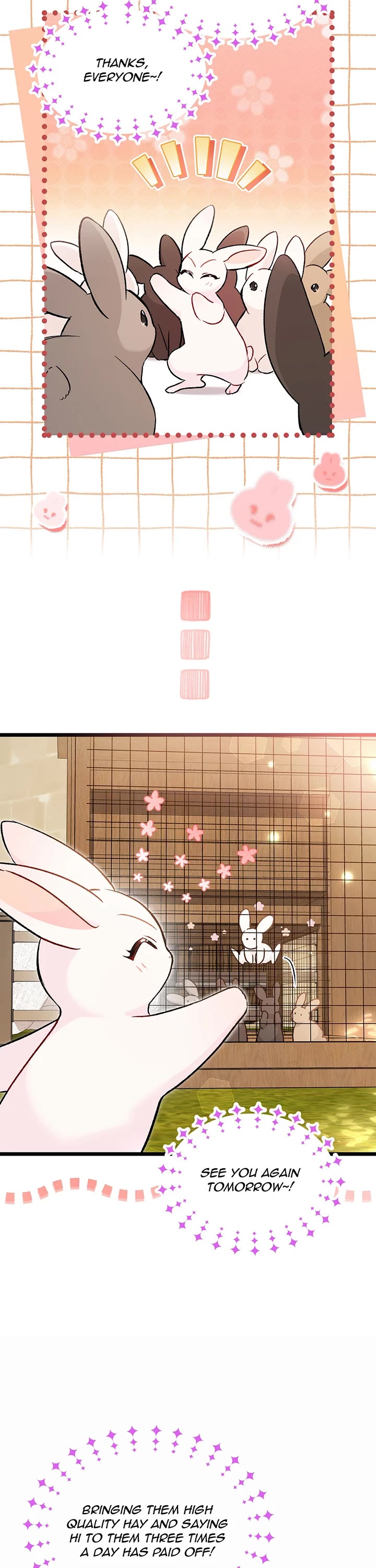 The Symbiotic Relationship Between a Rabbit and a Black Panther Chapter 127 page 32 - Chapter 127: nooo clue how this is gonna go