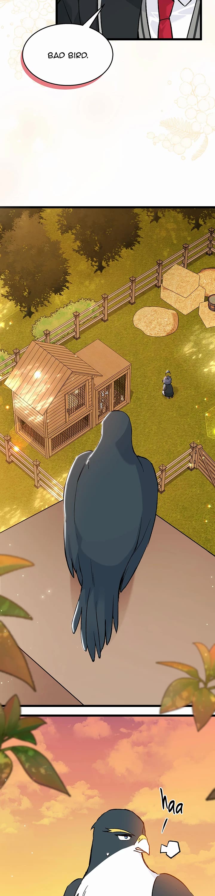 The Symbiotic Relationship Between a Rabbit and a Black Panther Chapter 128 page 23 - Chapter 128: Questioning Ahin's Eyes
