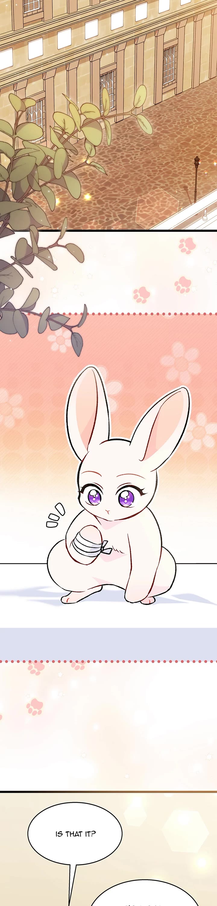 The Symbiotic Relationship Between a Rabbit and a Black Panther Chapter 128 page 28 - Chapter 128: Questioning Ahin's Eyes