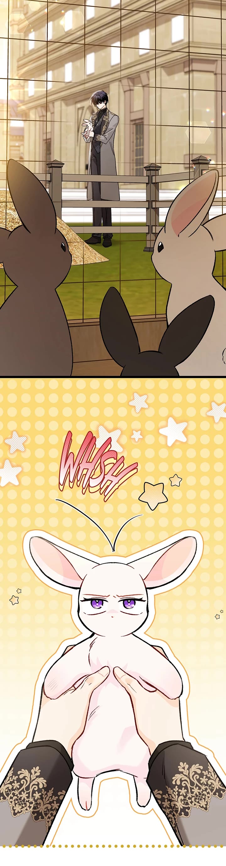 The Symbiotic Relationship Between a Rabbit and a Black Panther Chapter 128 page 9 - Chapter 128: Questioning Ahin's Eyes