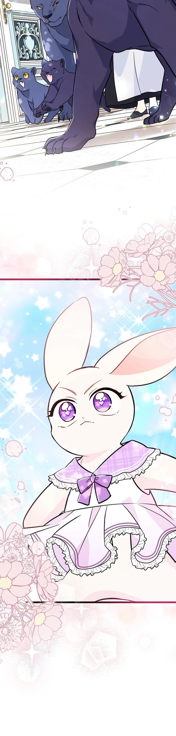 The Symbiotic Relationship Between a Rabbit and a Black Panther Chapter 135 page 21 - Chapter 135: The most ANTICIPATED fight EVER
