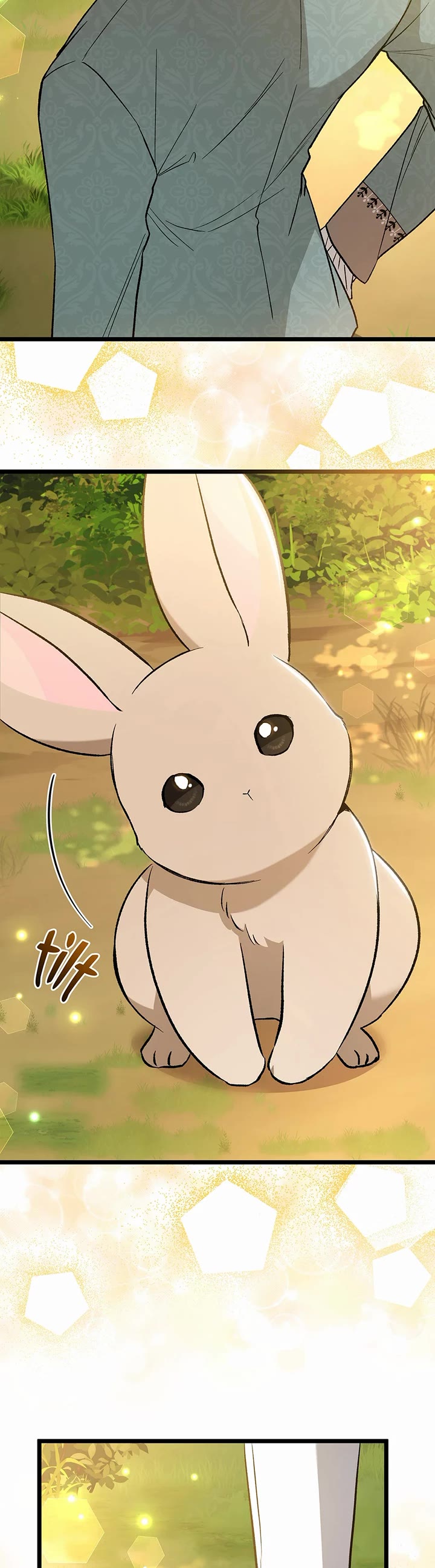 The Symbiotic Relationship Between a Rabbit and a Black Panther Chapter 136 page 35 - Chapter 136: Ahin gets smacked! Vivi gets replaced!