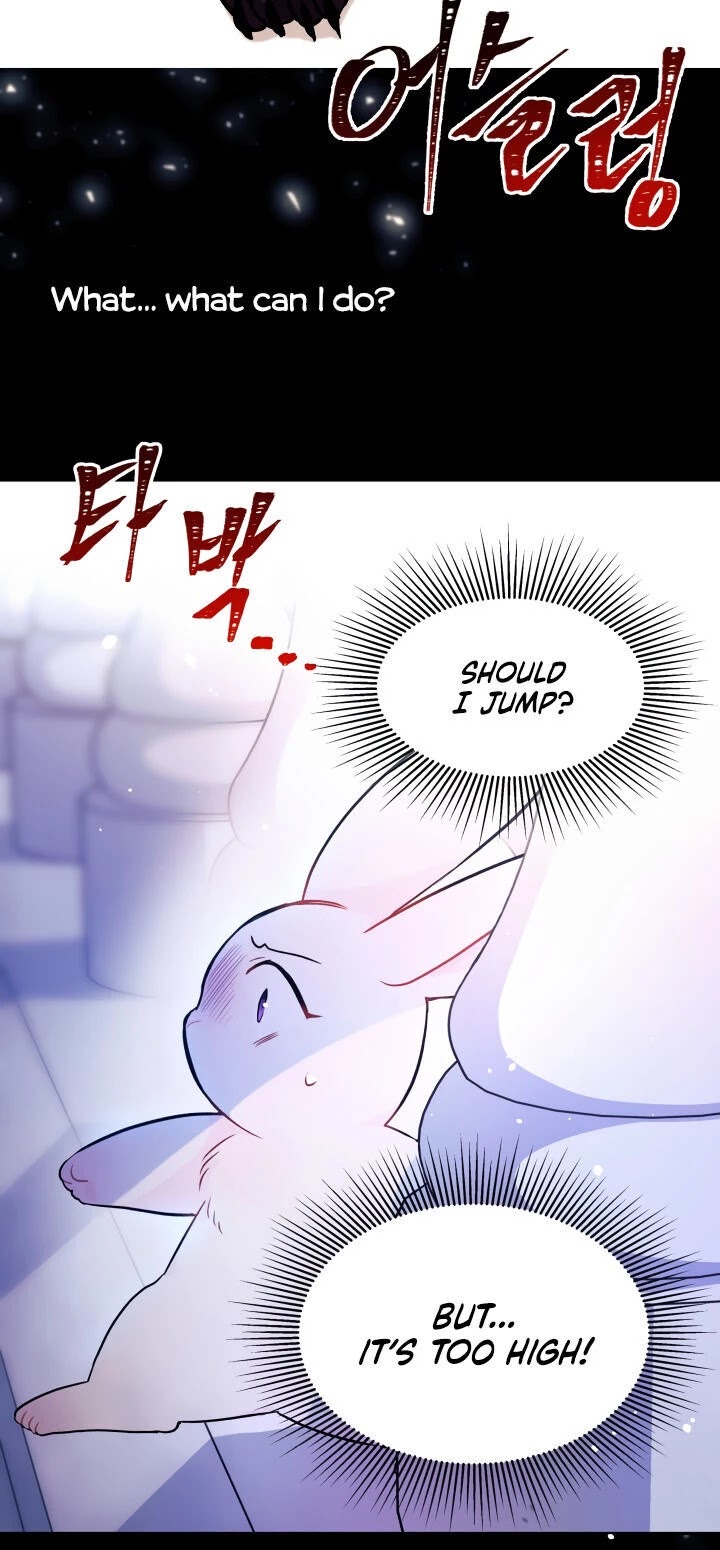 The Symbiotic Relationship Between a Rabbit and a Black Panther Chapter 14 page 8 - Chapter 14