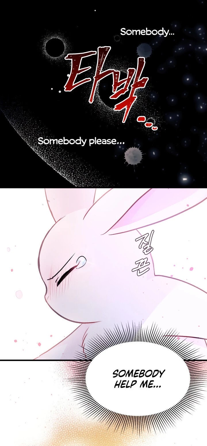 The Symbiotic Relationship Between a Rabbit and a Black Panther Chapter 14 page 9 - Chapter 14