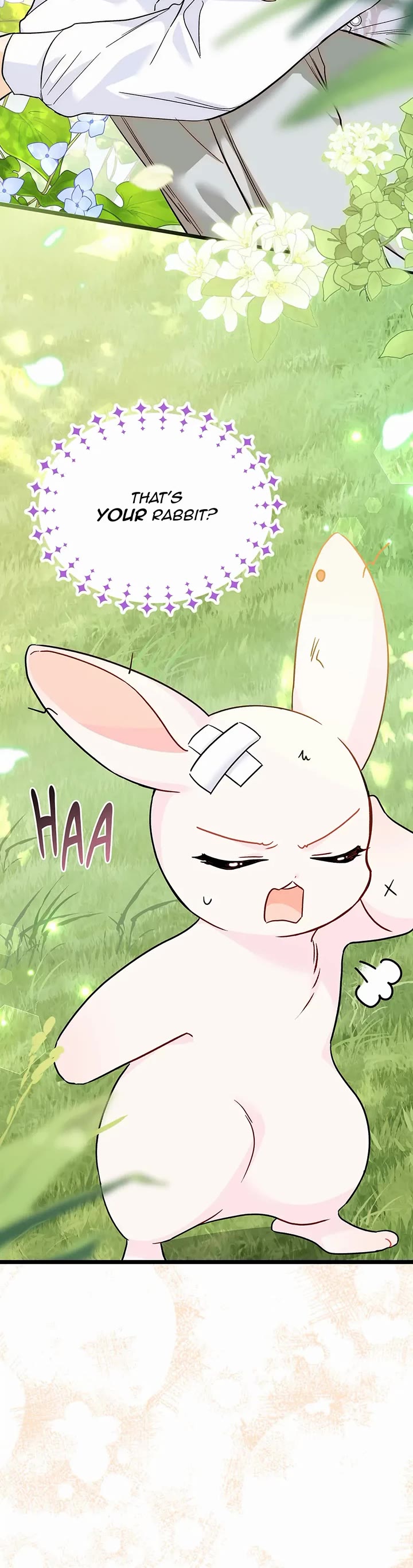 The Symbiotic Relationship Between a Rabbit and a Black Panther Chapter 155 page 25 - Chapter 155: Special Episode 5: He was OBVIOUSLY talking trash
