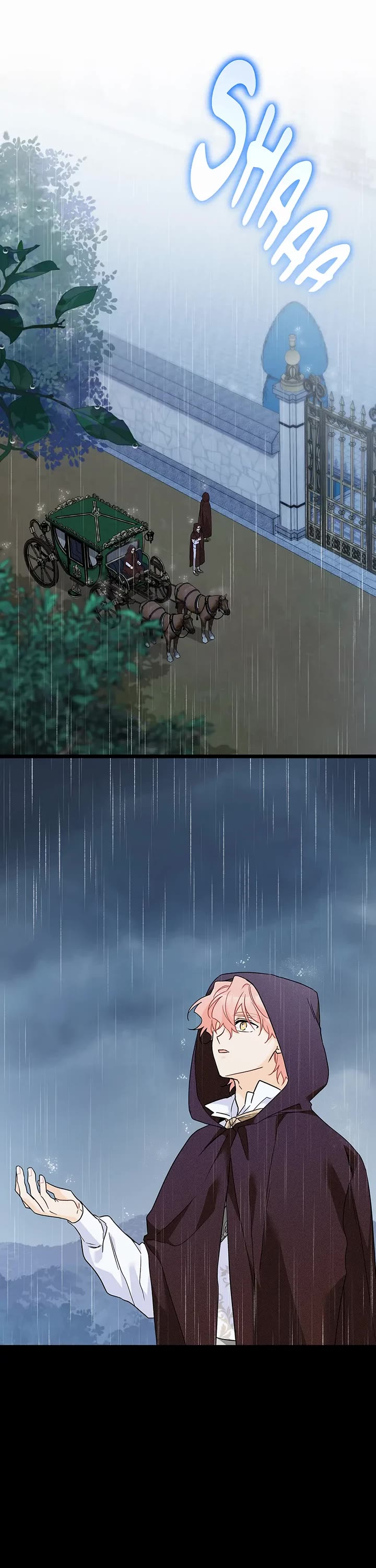 The Symbiotic Relationship Between a Rabbit and a Black Panther Chapter 158 page 1 - Chapter 158: Special Episode 8: The Start of Iberin's Love Story