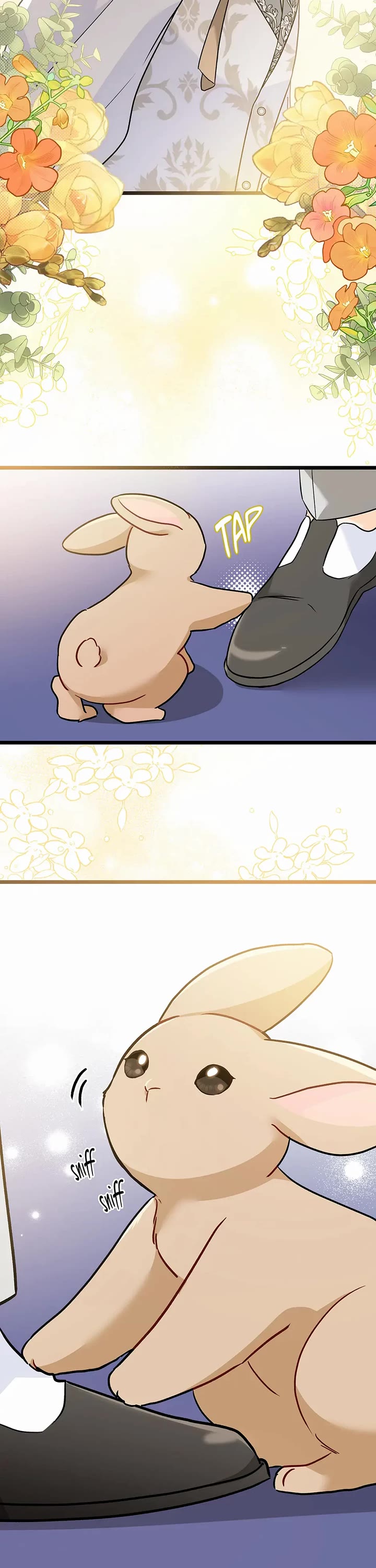 The Symbiotic Relationship Between a Rabbit and a Black Panther Chapter 158 page 38 - Chapter 158: Special Episode 8: The Start of Iberin's Love Story