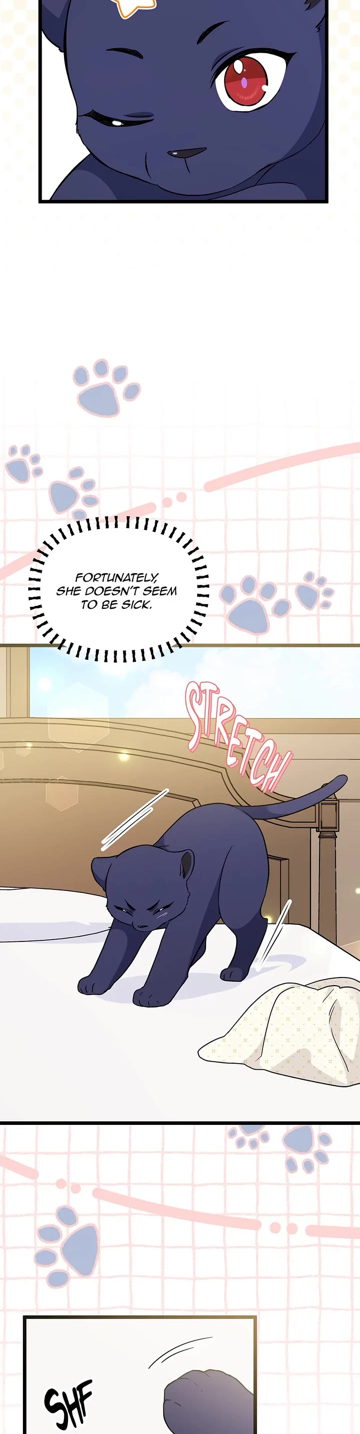 The Symbiotic Relationship Between a Rabbit and a Black Panther Chapter 164 page 19 - Chapter 164: Special Episode 14: Never meet your heroes, Alleng