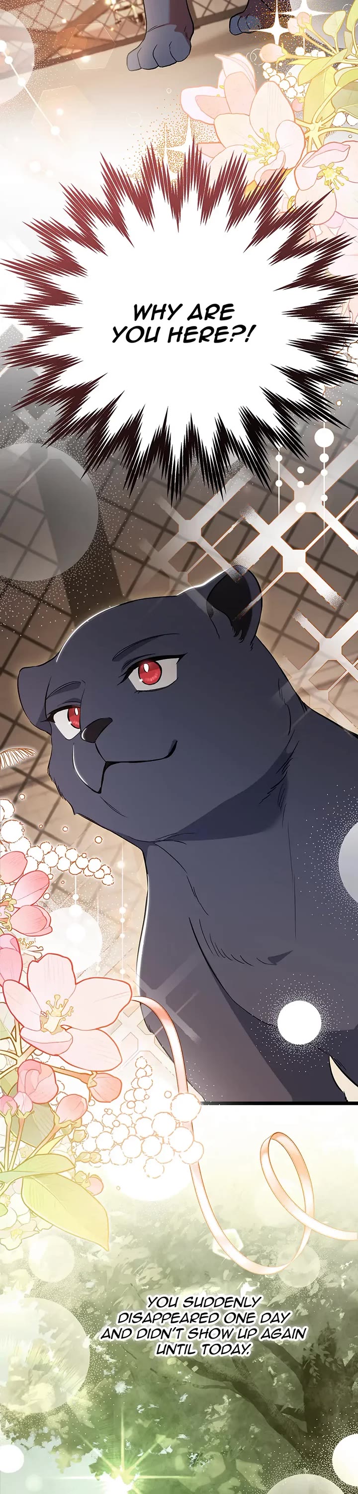 The Symbiotic Relationship Between a Rabbit and a Black Panther Chapter 186 page 31 - Chapter 186: Side Story 16: Incognito Leopard Exposed!