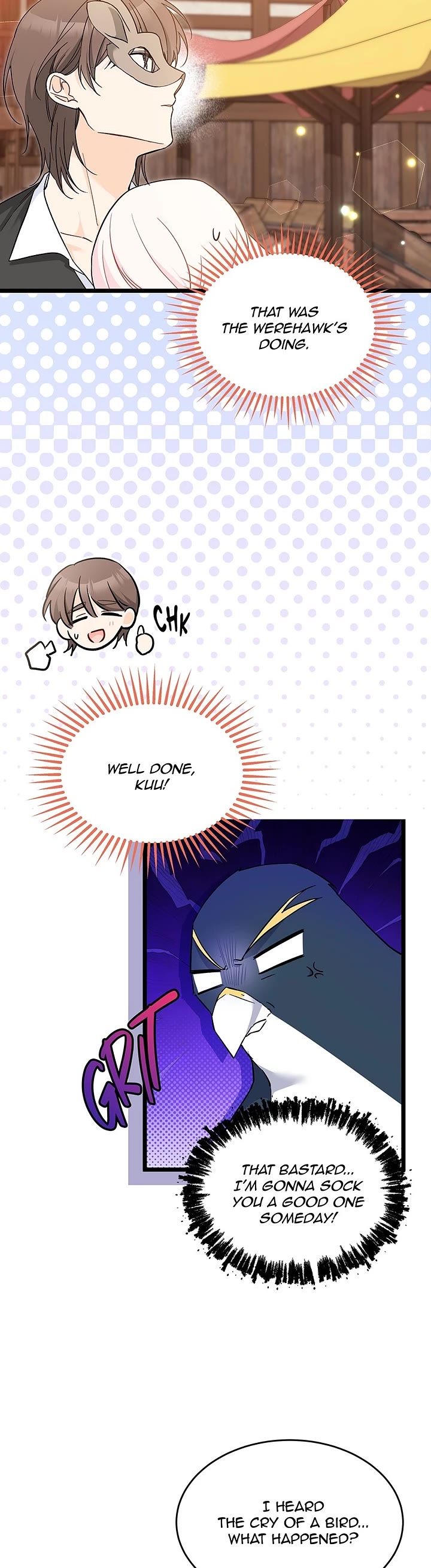 The Symbiotic Relationship Between a Rabbit and a Black Panther Chapter 193 page 17 - Chapter 193