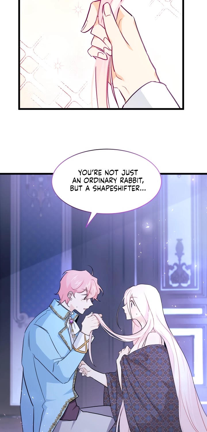 The Symbiotic Relationship Between a Rabbit and a Black Panther Chapter 20 page 16 - Chapter 20