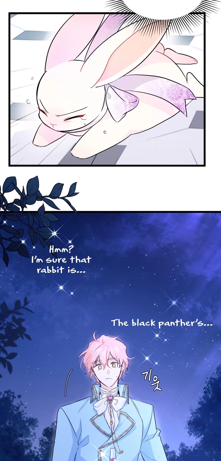The Symbiotic Relationship Between a Rabbit and a Black Panther Chapter 20 page 5 - Chapter 20