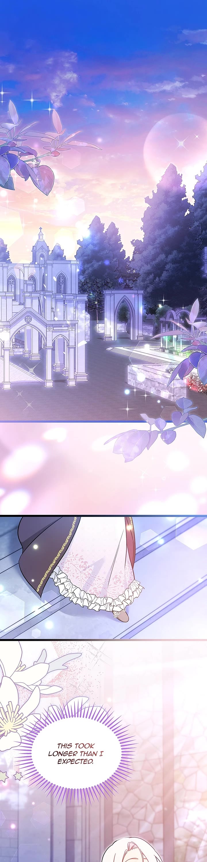 The Symbiotic Relationship Between a Rabbit and a Black Panther Chapter 206 page 1 - Chapter 206 [END]