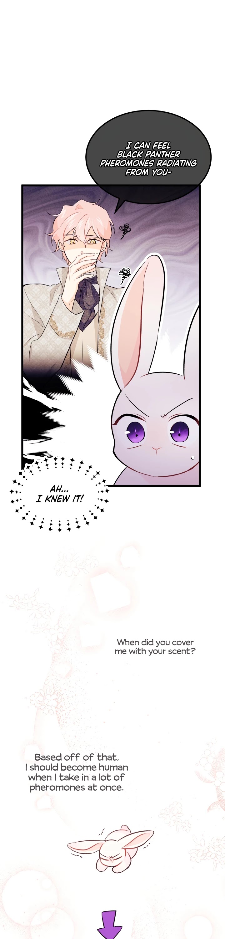 The Symbiotic Relationship Between a Rabbit and a Black Panther Chapter 22 page 16 - Chapter 22