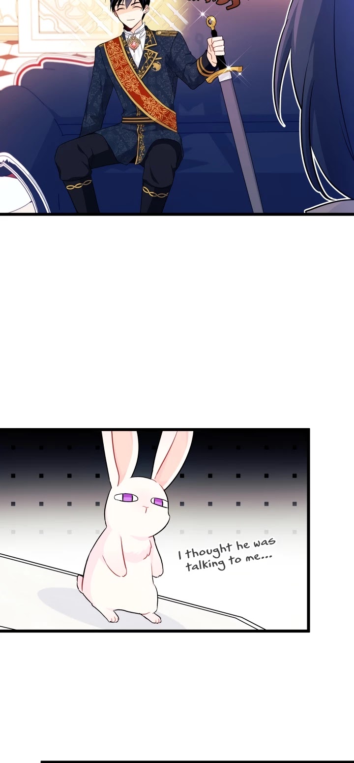 The Symbiotic Relationship Between a Rabbit and a Black Panther Chapter 22 page 9 - Chapter 22