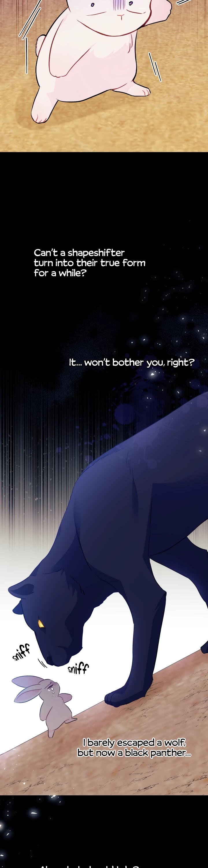 The Symbiotic Relationship Between a Rabbit and a Black Panther Chapter 23 page 11 - Chapter 23