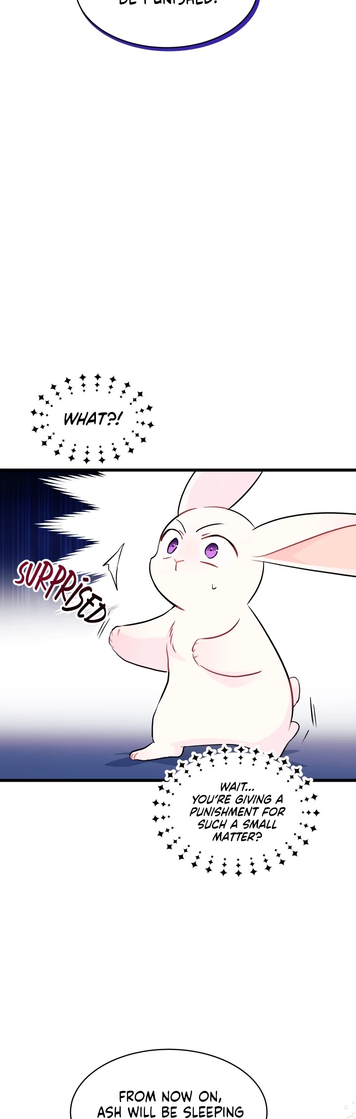 The Symbiotic Relationship Between a Rabbit and a Black Panther Chapter 25 page 14 - Chapter 25