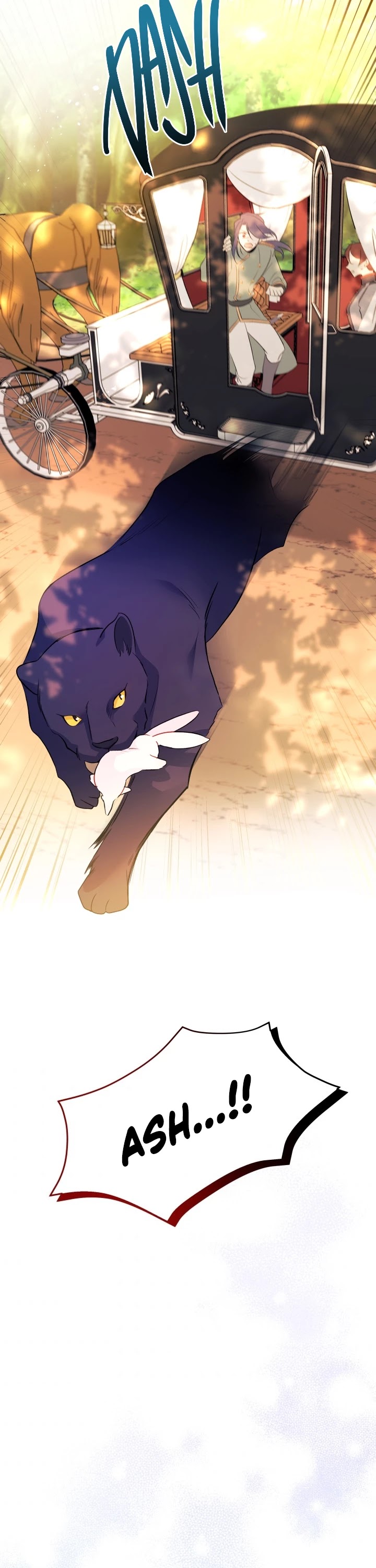 The Symbiotic Relationship Between a Rabbit and a Black Panther Chapter 29 page 25 - Chapter 29